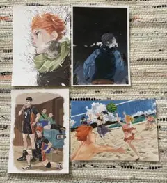 ハイキュー　ファンパーク　ポストカード　日向　影山