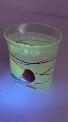 バカラ スターフィッシュ ヒトデ クリスタル オブジェ ペーパー