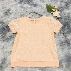 grove グローブ (L) レース切替 半袖 カットソー オフィス Tシャツ