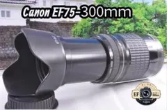 フード付き！Canon キヤノン EF90-300mm 望遠レンズ 整備済み。 フード付き！Canon キヤノン EF90-300mm 望遠レンズ 整備済み。 - メルカリ
