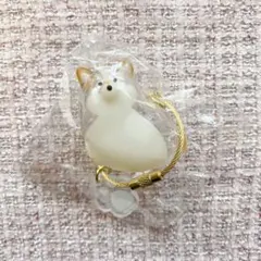 うちの子のけだまだま