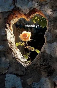 さくら様 リクエスト 2点 まとめ商品