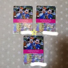 【未使用 期限切れ】ディズニーリゾートラインフリーきっぷ イマジニングザマジック