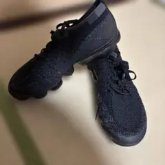 Item thumbnail for item d3c07fac-d559-40f5-af2c-6db481caca47