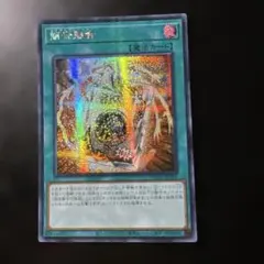 簡素融合 アジア シークレット 亜シク