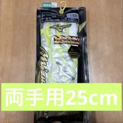 Item thumbnail for item f06c56b3-6a97-4f13-b615-eabe1c86077c