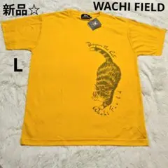 Item thumbnail for item 08996f63-3ab4-4588-9c09-259a0447acc6