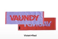 VAUNDY ロゴタオル　 バウンディ　2026のサムネイル