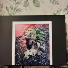 【新品未開封】REPSYCLE hide 初回生産限定盤 Amazon.co.jp: 【Amazon.co.jp限定】REPSYCLE～hide 60th