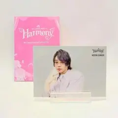 Mrs.GREEN APPLE Harmony フォトカ 大森元貴 011