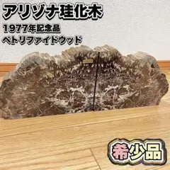 【希少】アリゾナ珪化木 1977年記念品 ペトリファイドウッド　総重量8.3kg 希少】アリゾナ珪化木 1977年記念品 ペトリファイドウッド 総重量8.3kg