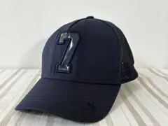 Item thumbnail for item 454ab3e2-b1e3-4a7d-89b6-2f3c1ed37a51