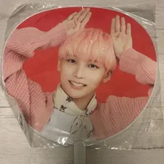SEVENTEEN JEONGHAN うちわ Carat Camp