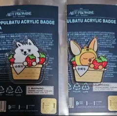 TXTプルバトゥPPULBATU 福岡 バッジ　ファンチュン　ヨンモン