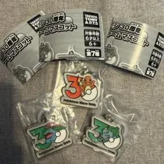 ポケモン 30周年メタルチャームマスコット めじるしアクセサリー