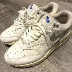 24.5cm！NIKE AIRMAX1 ナイキ エアマックス1