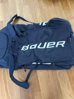 Item thumbnail for item 863fa32b-bdfa-499f-94c9-0f432e351696