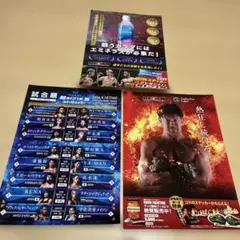 RIZIN ポスター