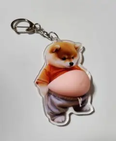 柴犬 お腹膨らんだアクリルキーホルダー