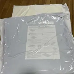 トゥルースリーパー ごろ寝マット 約110cm x 約47cm