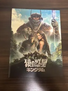 2026年最新】キングダム 映画 パンフレットの人気アイテム - メルカリ