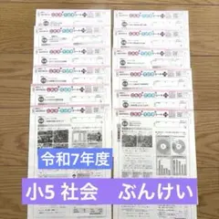 小5理科 啓林館 令和7年度 Nぶんけい カラーテスト こたえ・てびき