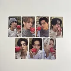 ENHYPEN THE SIN VANISH FUGITIVES 封入トレカ