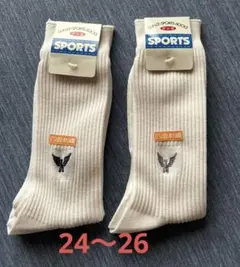 GUNZE SPORTS ★メンズソックス ホワイト 四面刺繍　　２足