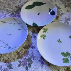 ラエミーズ皿のサムネイル