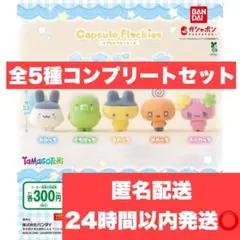 【早い者勝ち‼️】 たまごっち カプセルフロッキーズ 全5種 コンプリート
