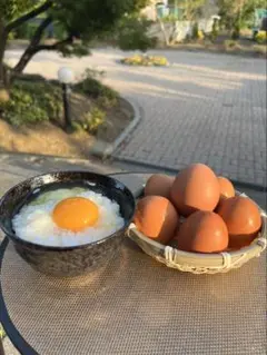 ネラの卵　10個のサムネイル