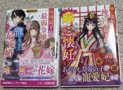 スターツ出版　小説セット