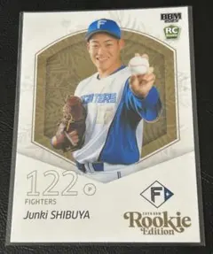 Item thumbnail for item 80d26117-5b21-4bb2-b55c-9c466e63a4e8