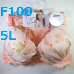 【F100/5L】ブラ・ショーツセット★2点以上で各200円引★60502061