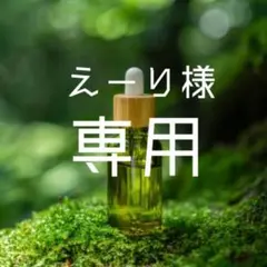えーり様専用ページ✩︎⡱