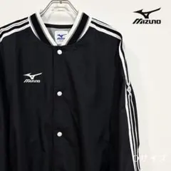 Item thumbnail for item 5c3615ae-8531-46b7-8347-708a87c1097a