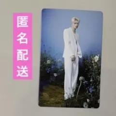 enhypen walk the line final トレカ　ニキ