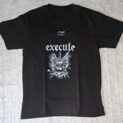 THE EXECUTE