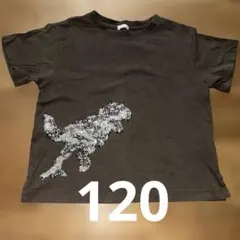 スパンコール　恐竜デザイン　Tシャツ 120 トップス　半袖