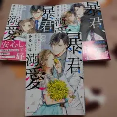 暴君、あるいは溺愛 全３巻完結セット