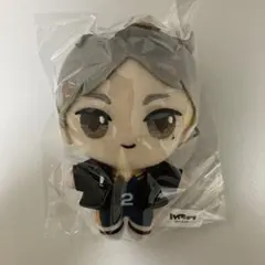 2026年最新】ハイキュー 菅原 ぬいぐるみの人気アイテム - メルカリ