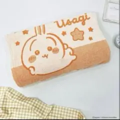 ちいかわ　のびのび枕カバー　うさぎ【新品、未使用】