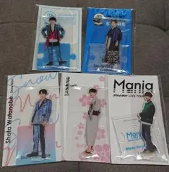 SnowMan 渡辺翔太 アクスタセット