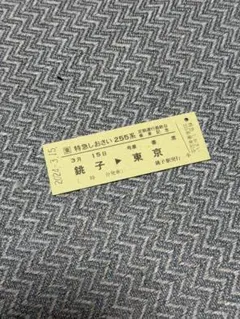 特急しおさい255系 定期運行最終日 乗車記念証