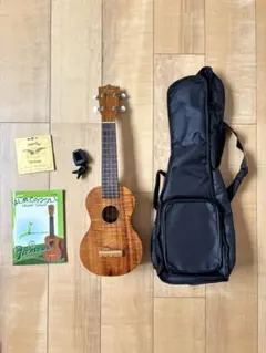 Item thumbnail for item b8855650-94a7-4c58-92e1-52aea630883c