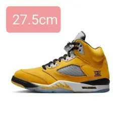 Nike Air Jordan 5 Retro 