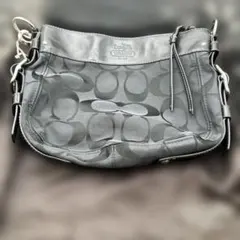 Item thumbnail for item 8237c7a2-4deb-495d-9305-2771c1c27435