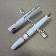 新品 廃盤 PLATINUM プラチナ 万年筆 ショート 14k 細字 いちご - メルカリ