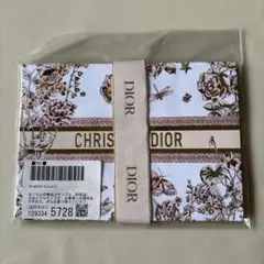 DIOR クリスマスコレクション2024 ショッパー