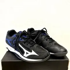 Mizuno スポーツシューズ　黒/青/白　室内競技用